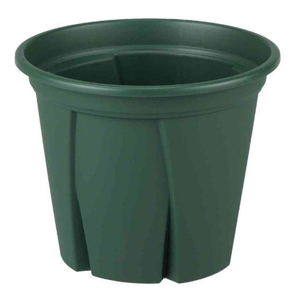 Appleware Root Strong 10 Green