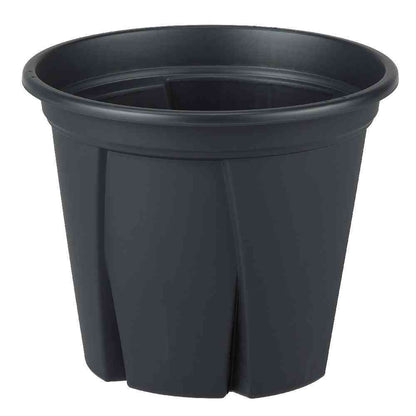 Appleware Root Strong 12 Black