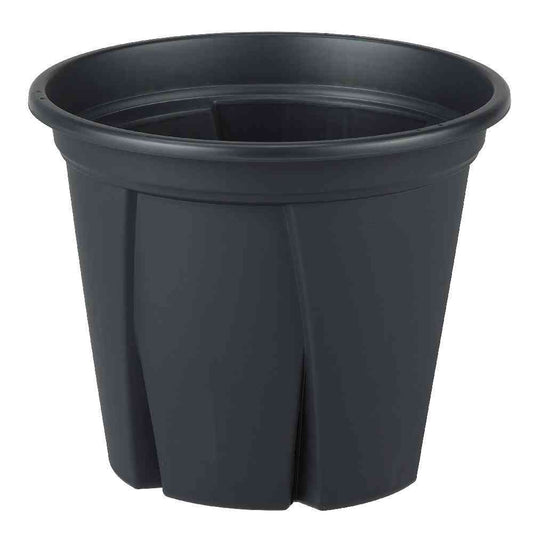 Appleware Root Strong 12 Black