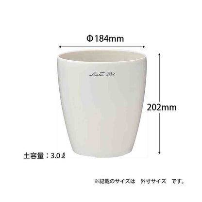 Appleware Rasta Pot Type 185