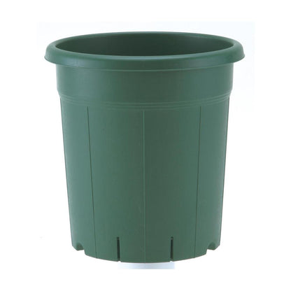 Appleware Rose Pot Green