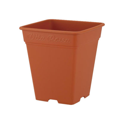 Appleware Rosea Square Brown