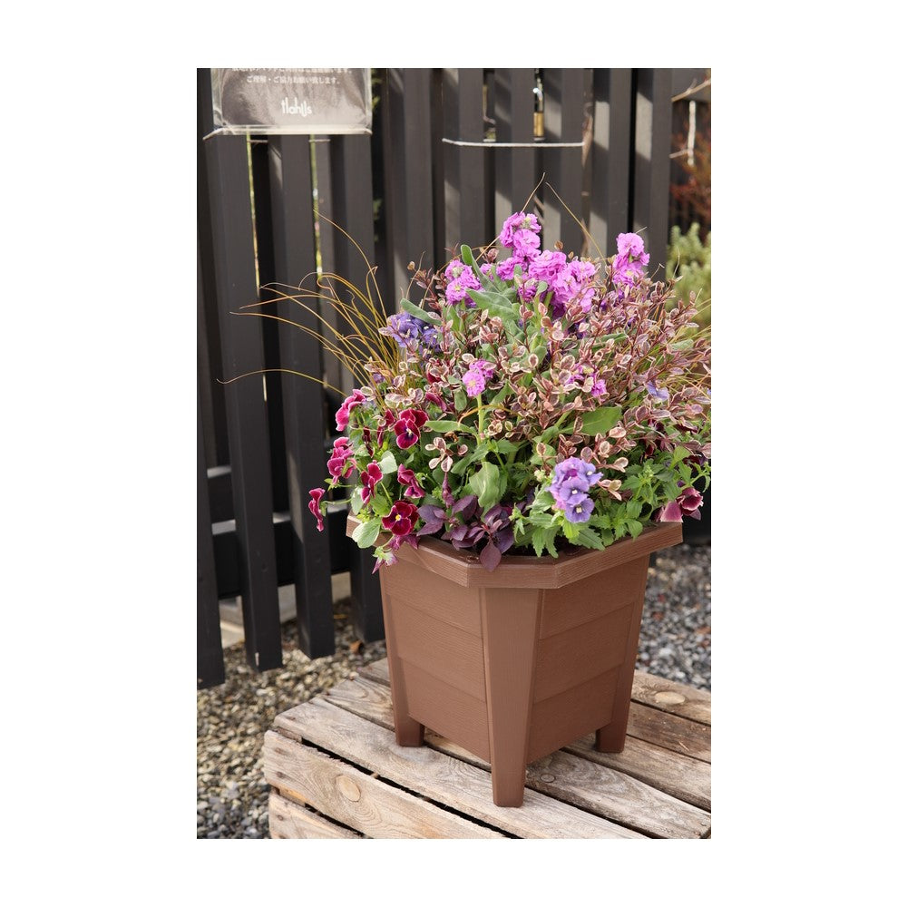 Appleware Flower and Vegetable Planter 300 Type Brown