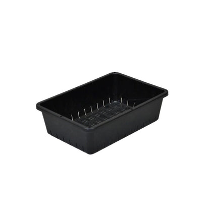 Appleware Seedling Container Black