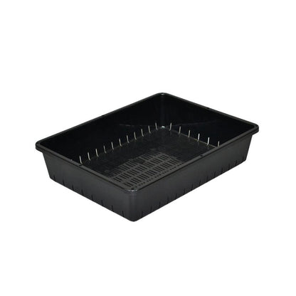 Appleware Seedling Container Black