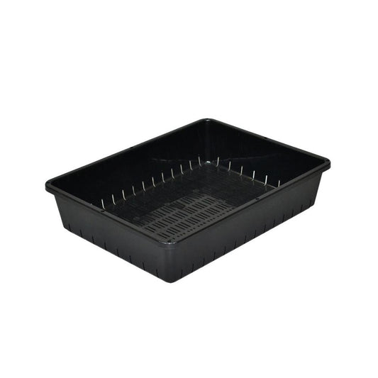 Appleware Seedling Container Black