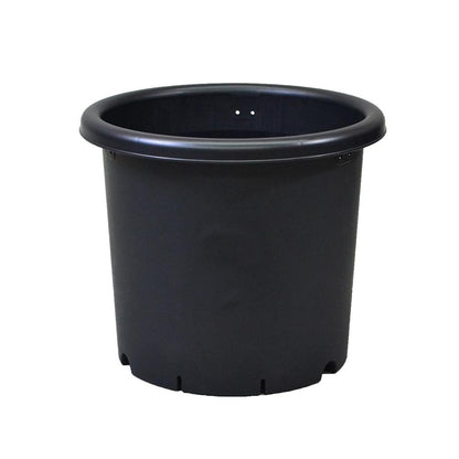 Appleware Kiku Pot Black 5号