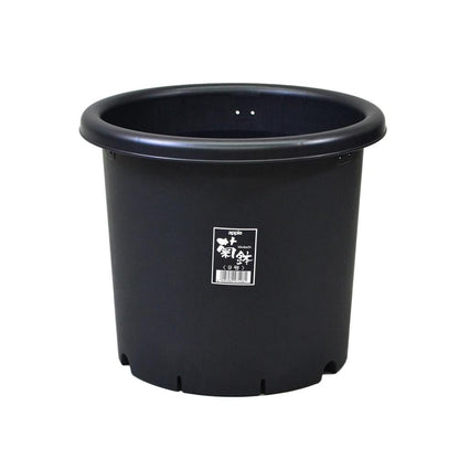Appleware Kiku Pot Black 8号