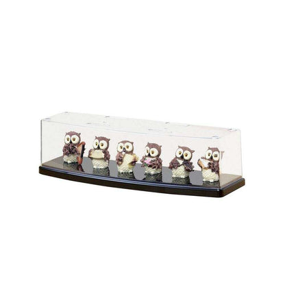 Izumi Kasei Round Display Case Wide Flat