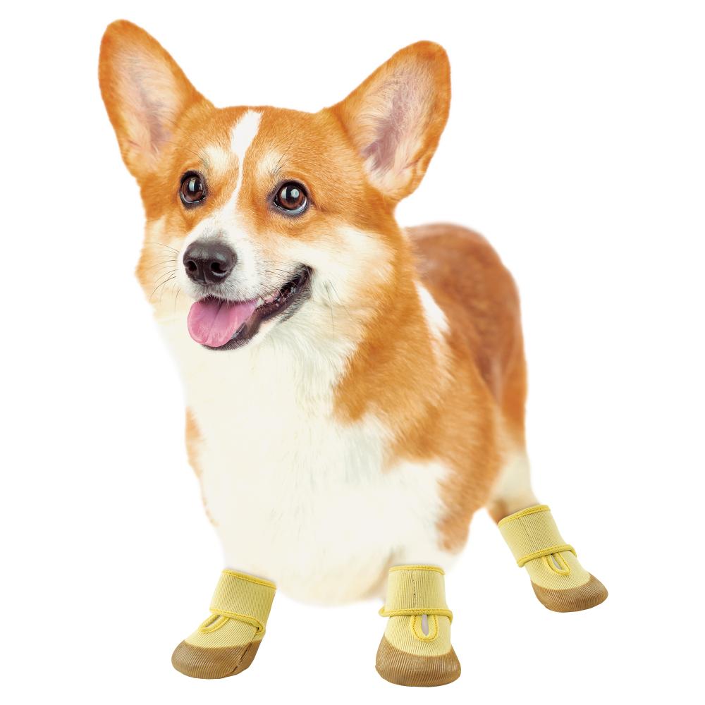 Easy-to-Wear Walking Shoes L