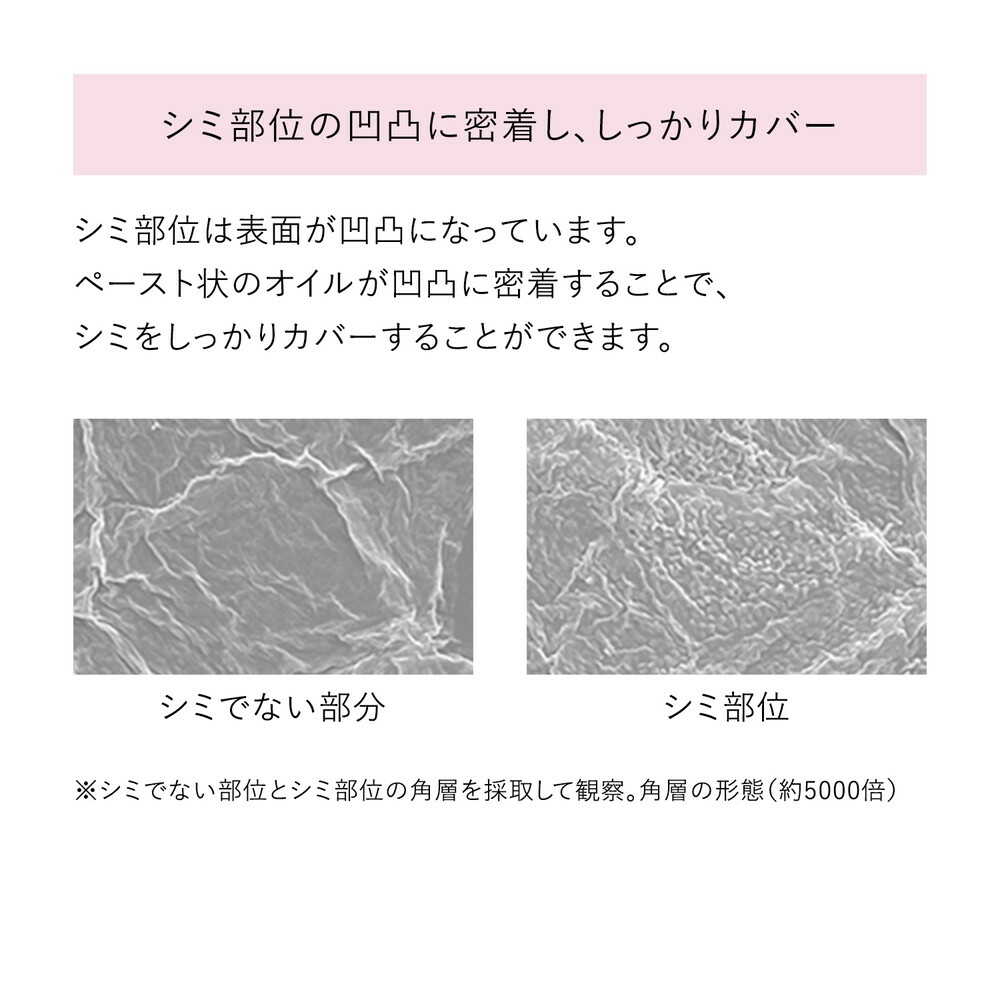 [Quasi-Drug] HAKU Medicinal Whitening Serum Foundation Light Beige 30g