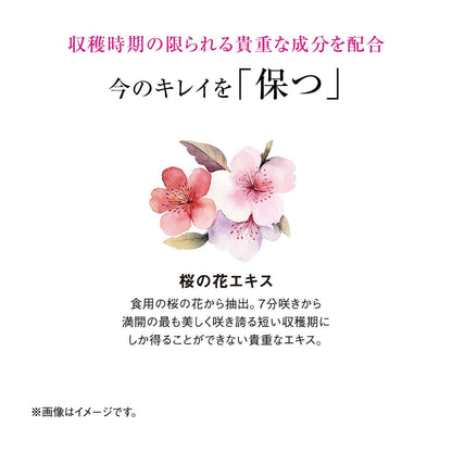Shiseido The Collagen Drink 50mL x 10 Bottles