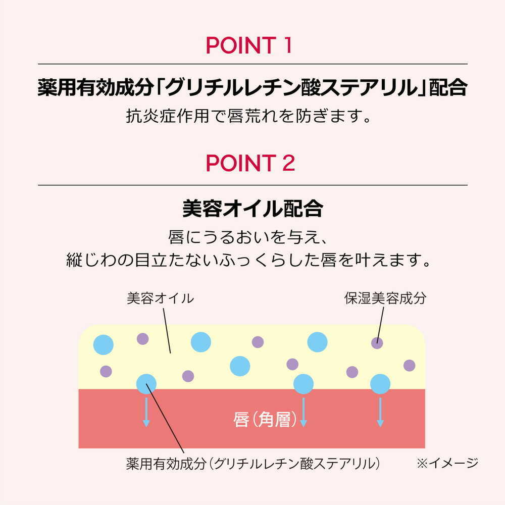 Maquillage Dramatic Essence Lip Care 3.8g
