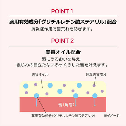 Maquillage Dramatic Essence Lip Care 3.8g