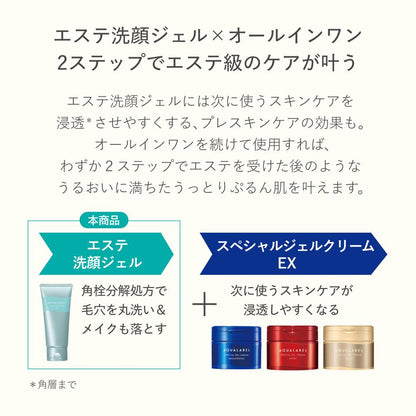 Shiseido Aqua Label Esthetic Cleansing Gel 130g