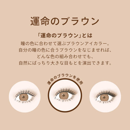 Shiseido Maquillage Customize Eye Color Single Destiny Brown BR635 Chocolat Noir 1g