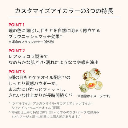 Shiseido Maquillage Customize Eye Color Single Destiny Brown BR635 Chocolat Noir 1g