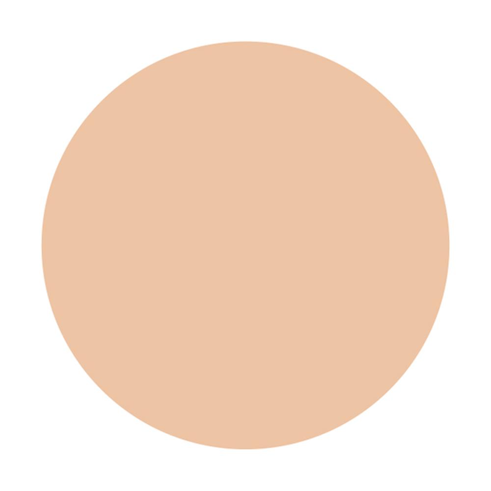 Shiseido Integrate Pro Finish Liquid N Ochre 10 30ml