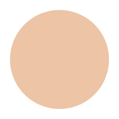 Shiseido Integrate Pro Finish Liquid N Ochre 10 30ml