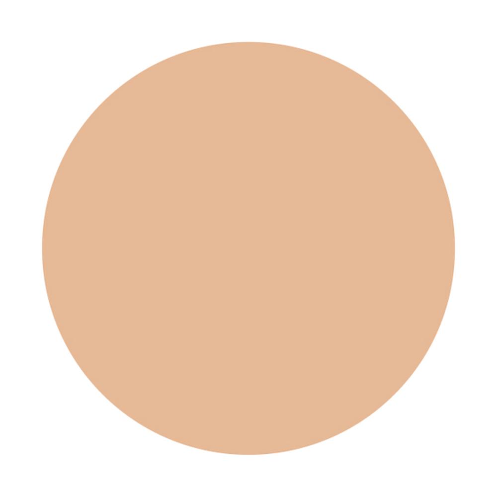 Shiseido Integrate Pro Finish Liquid N Ochre 20 30ml