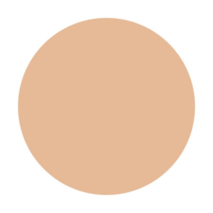 Shiseido Integrate Pro Finish Liquid N Ochre 20 30ml