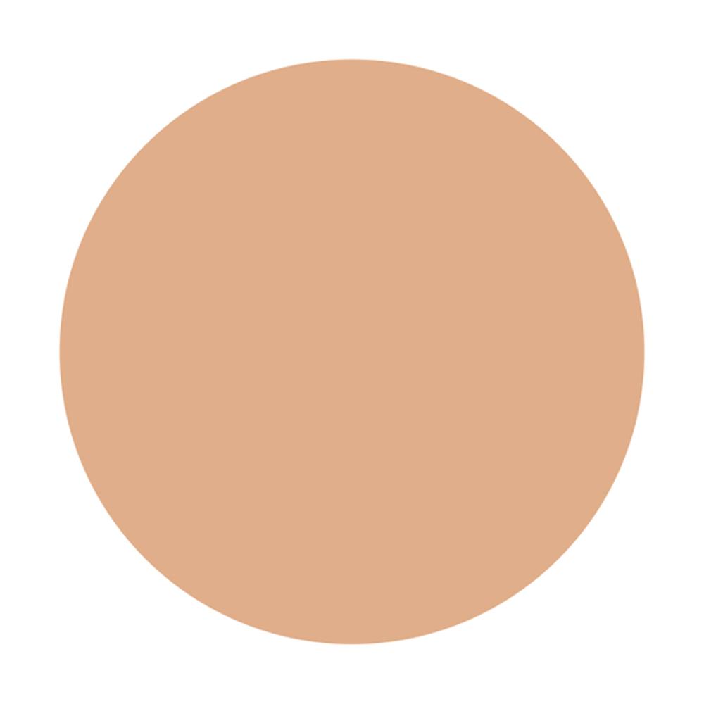 Shiseido Integrate Pro Finish Liquid N Ochre 30 30ml