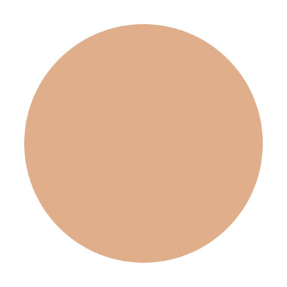 Shiseido Integrate Pro Finish Liquid N Ochre 30 30ml