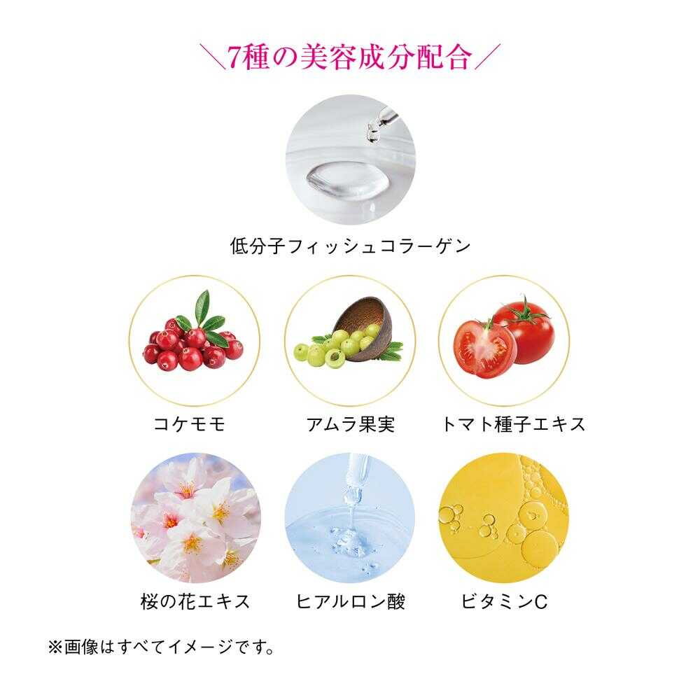 Shiseido The Collagen Powder 126g