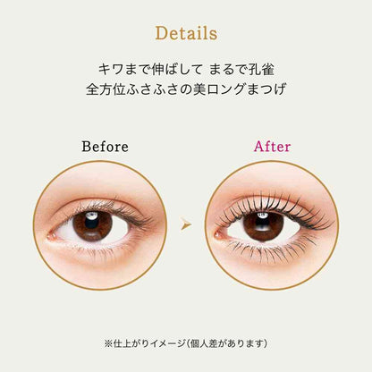 Shiseido Majolica Majorca Lash Expander Peacock Long BK900 Princess Rose Black 6g