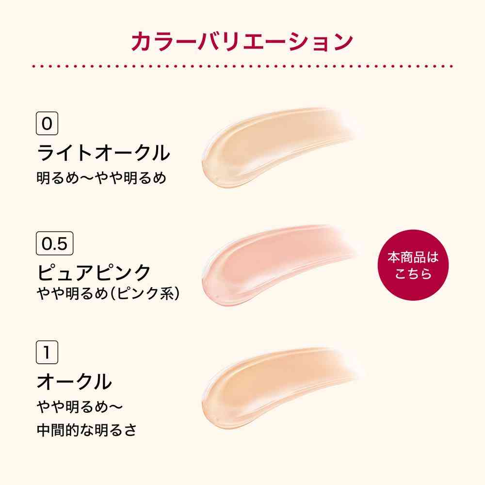Shiseido Integrate Pro Finish Cushion 0.5 12g