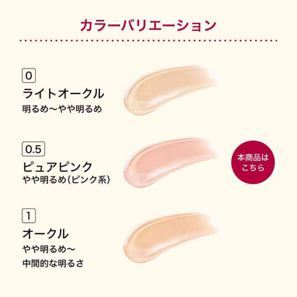 Shiseido Integrate Pro Finish Cushion 0.5 12g