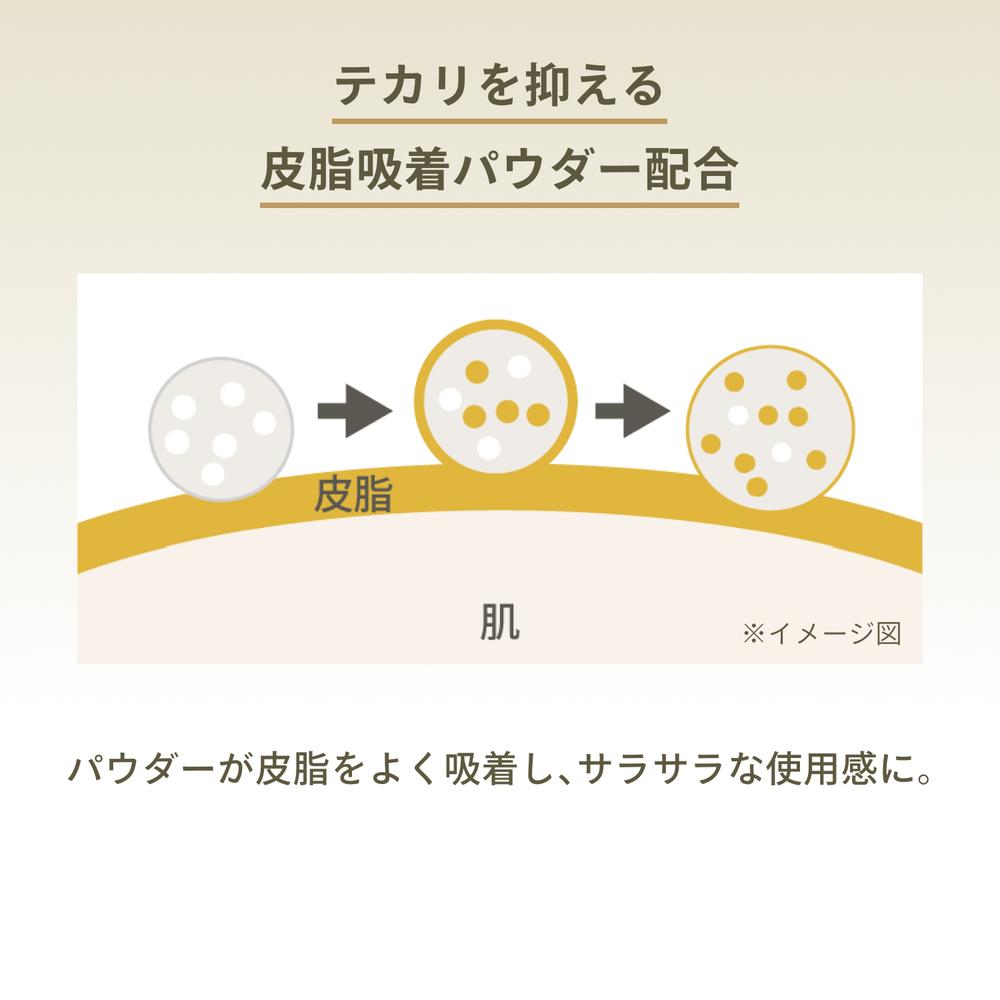 Shiseido Anessa Perfect UV Brush-On Powder 3g
