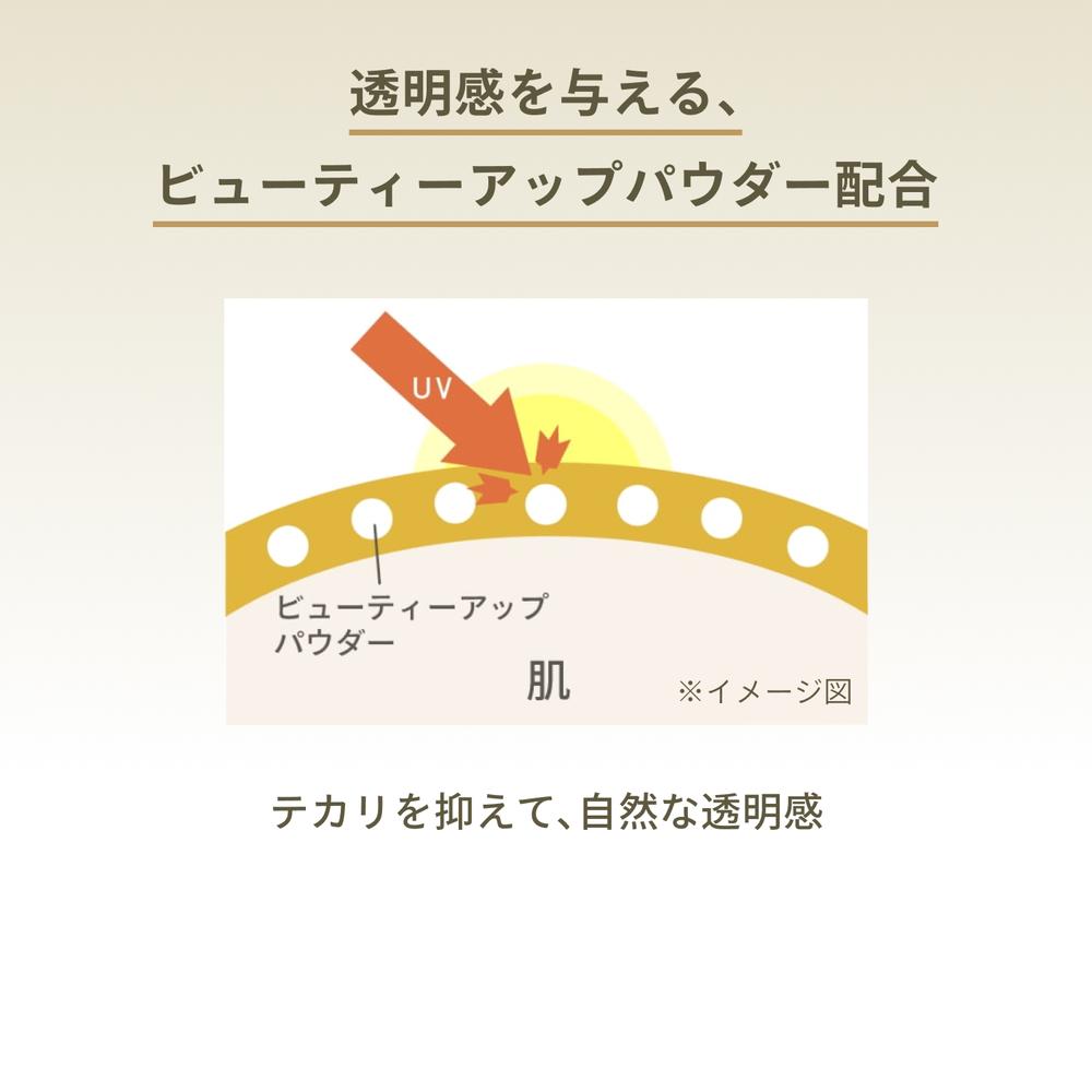 Shiseido Anessa Perfect UV Brush-On Powder 3g