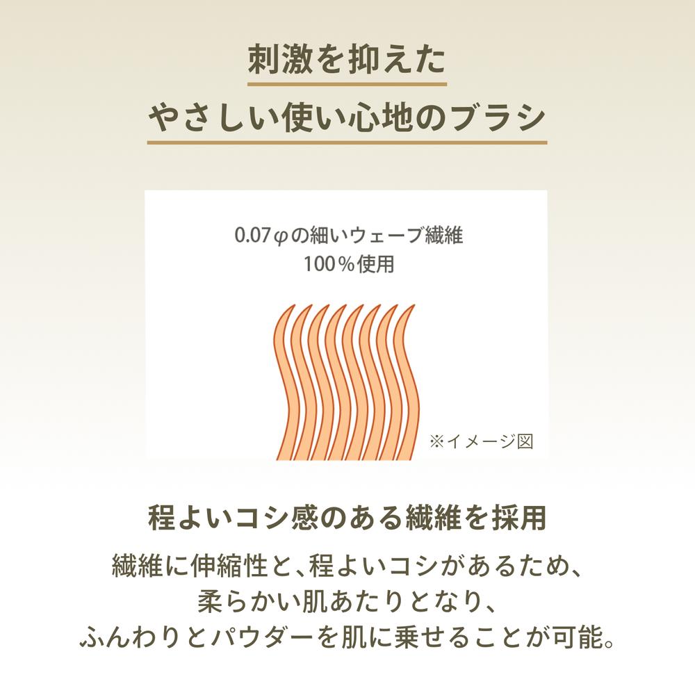 Shiseido Anessa Perfect UV Brush-On Powder 3g