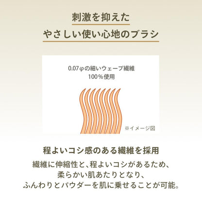 Shiseido Anessa Perfect UV Brush-On Powder 3g