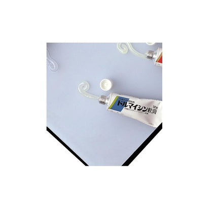 Dulmacyin Ointment 12g