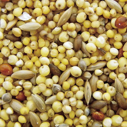 Natural Pet Foods Excel Delicious Bird Food Shelled 900g