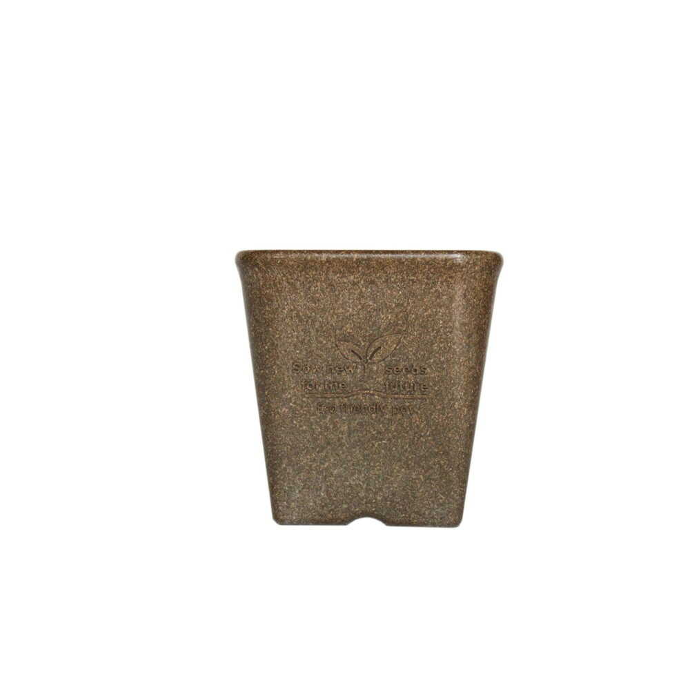 welzo Momikku Square Pot Brown 12