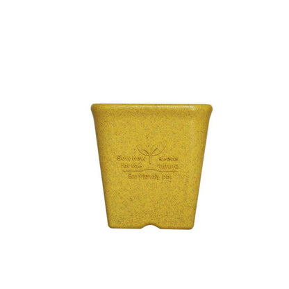welzo Momikku Square Pot Yellow 12