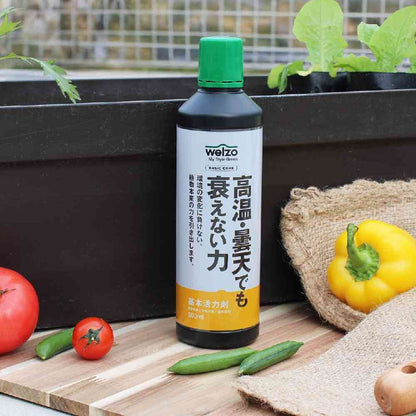 welzo Resilient Power for High Temperatures and Cloudy Days 500ml