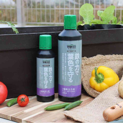 Welzo Iron Power for Beautiful Leaf Color 200ml