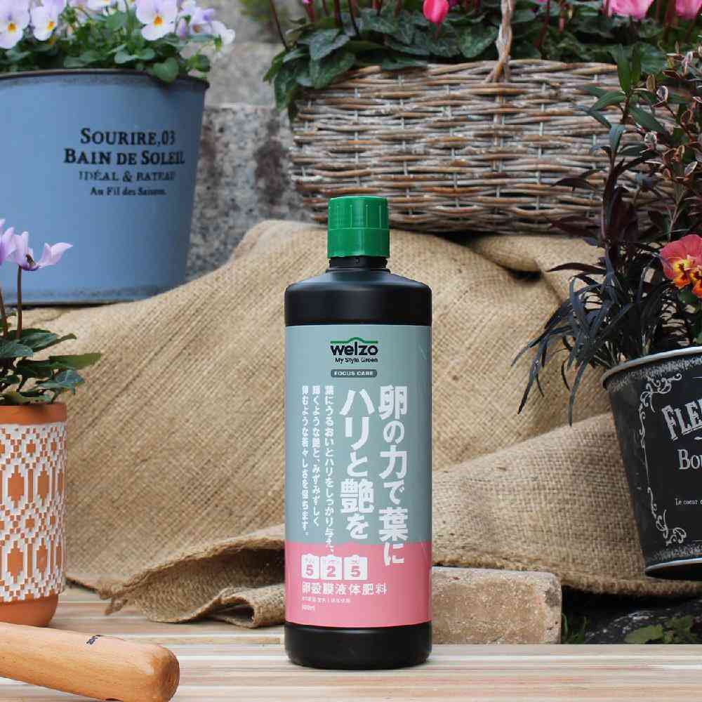 welzo Egg Power for Leaf Firmness and Shine 800ml