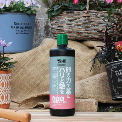 welzo Egg Power for Leaf Firmness and Shine 800ml