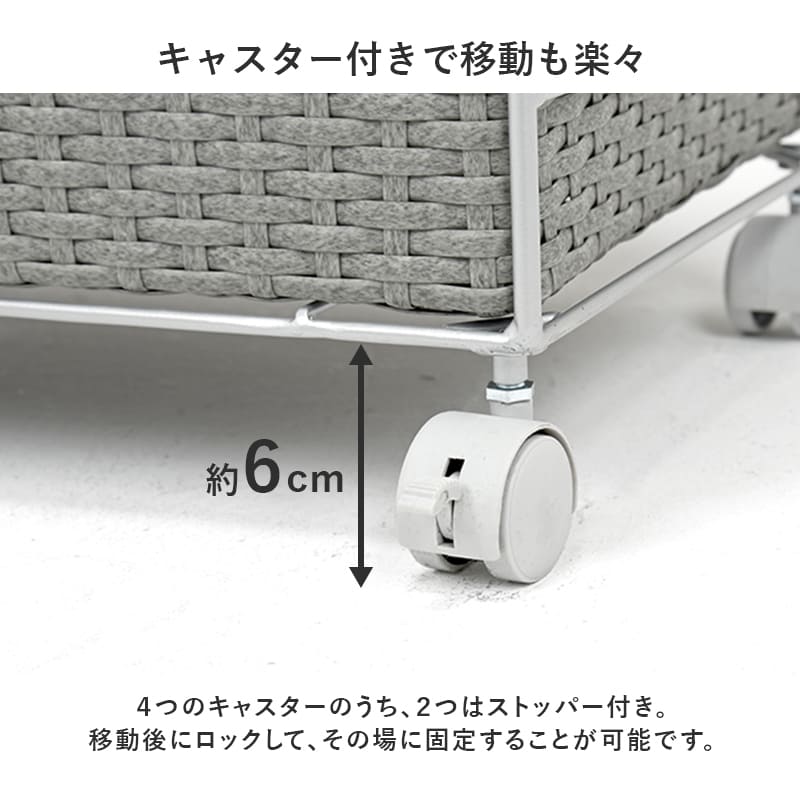 Laundry Width 65cm RAN-2458DBR