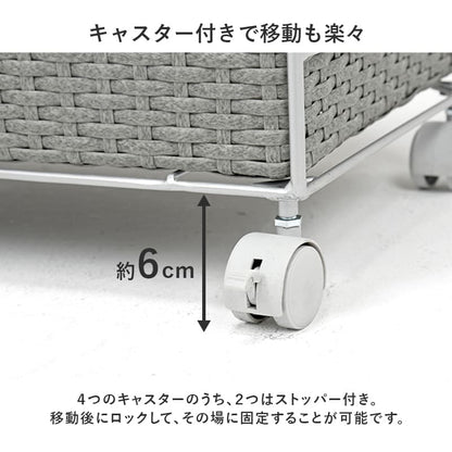 Laundry Width 65cm RAN-2458DBR