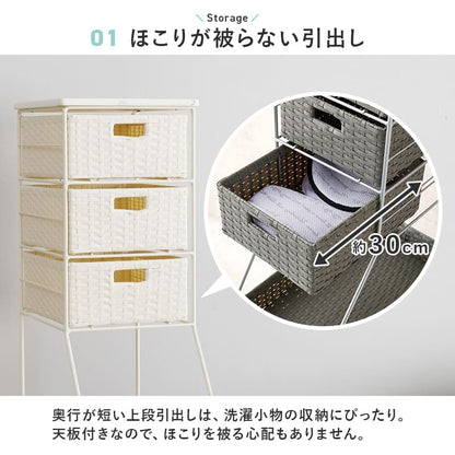Laundry Chest Width 25cm RAN-2461DBR