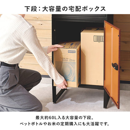 Delivery Box 60L LPS-4991BE