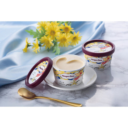 Häagen-Dazs Special Set