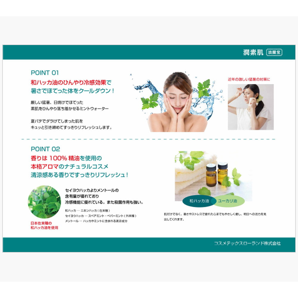 Cosmetex Roland Moisture Skin Medicinal Japanese Mint Water Mist 250ml