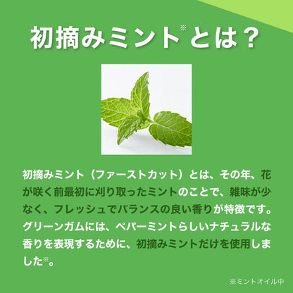 Lotte Green Gum 9 Pieces